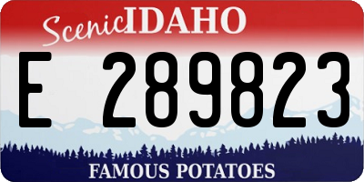 ID license plate E289823