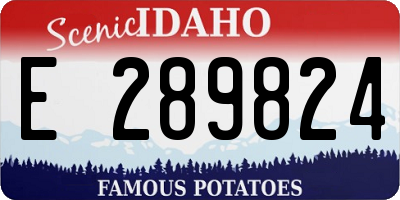 ID license plate E289824