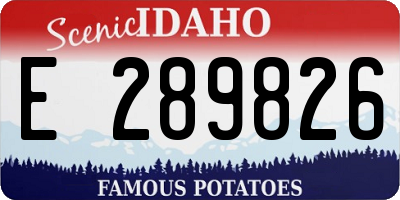 ID license plate E289826