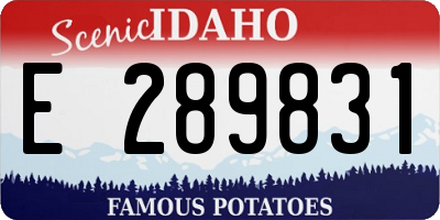 ID license plate E289831