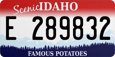 ID license plate E289832