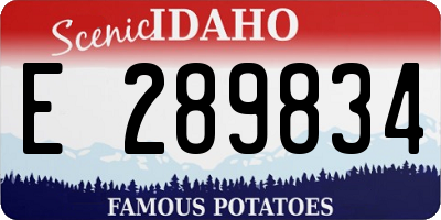 ID license plate E289834