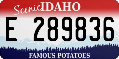 ID license plate E289836