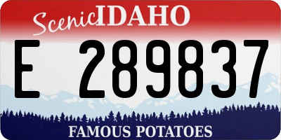 ID license plate E289837