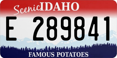 ID license plate E289841