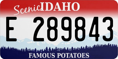 ID license plate E289843