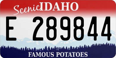 ID license plate E289844