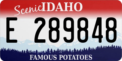 ID license plate E289848
