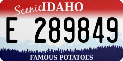 ID license plate E289849