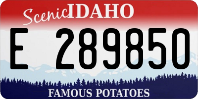 ID license plate E289850