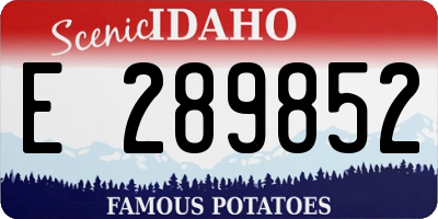 ID license plate E289852