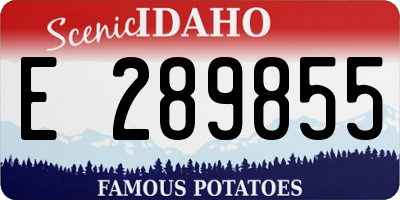 ID license plate E289855