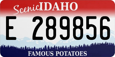 ID license plate E289856