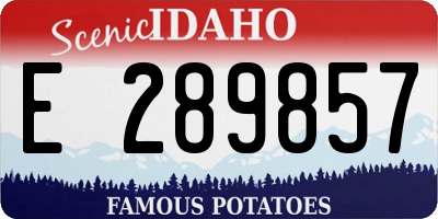 ID license plate E289857