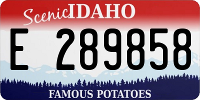 ID license plate E289858