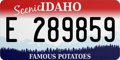 ID license plate E289859
