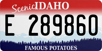 ID license plate E289860
