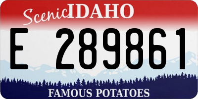 ID license plate E289861