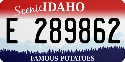 ID license plate E289862