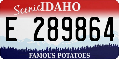 ID license plate E289864