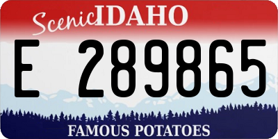 ID license plate E289865