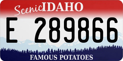 ID license plate E289866
