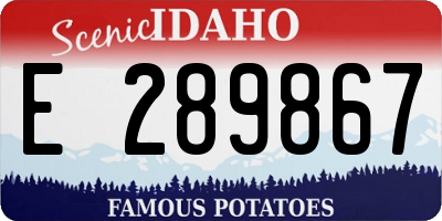 ID license plate E289867