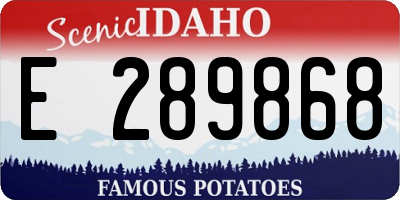 ID license plate E289868