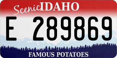 ID license plate E289869