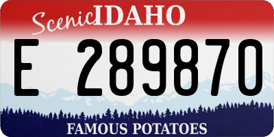 ID license plate E289870