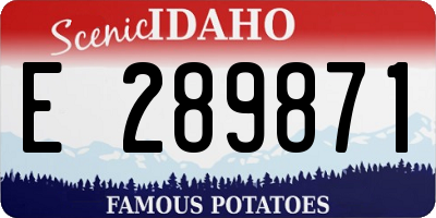 ID license plate E289871
