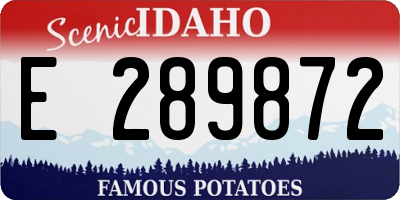 ID license plate E289872