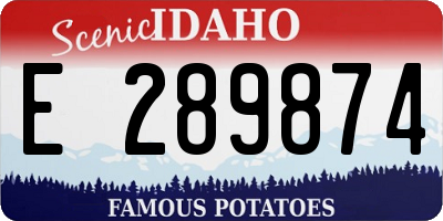 ID license plate E289874