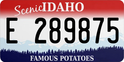 ID license plate E289875