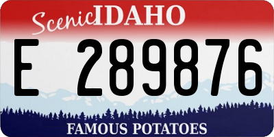 ID license plate E289876