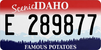 ID license plate E289877