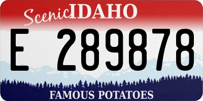 ID license plate E289878