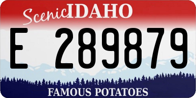 ID license plate E289879