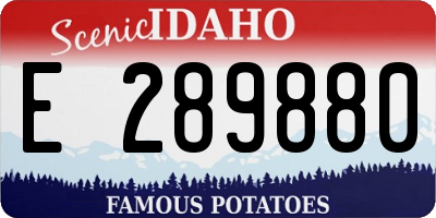 ID license plate E289880