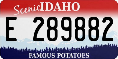 ID license plate E289882