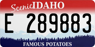 ID license plate E289883