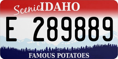 ID license plate E289889