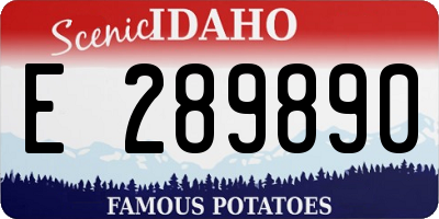 ID license plate E289890
