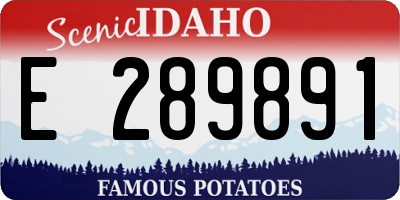 ID license plate E289891