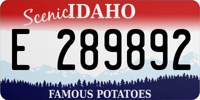 ID license plate E289892
