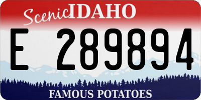ID license plate E289894