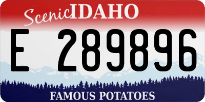 ID license plate E289896