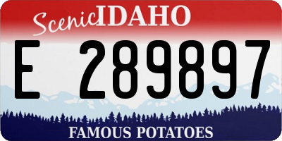 ID license plate E289897