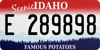 ID license plate E289898