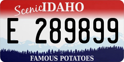 ID license plate E289899
